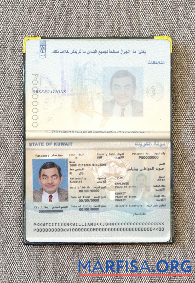 Printable Kuwait passport photo look real example